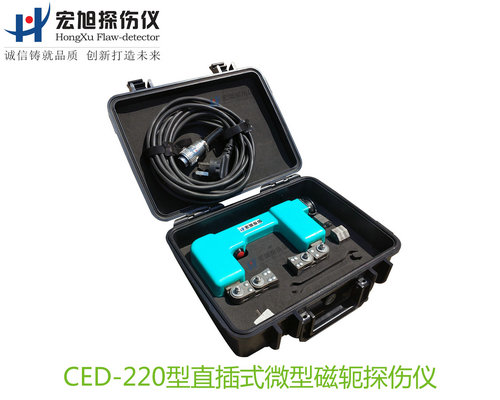 CED220型直插式微型磁轭日韩菠萝蜜视频